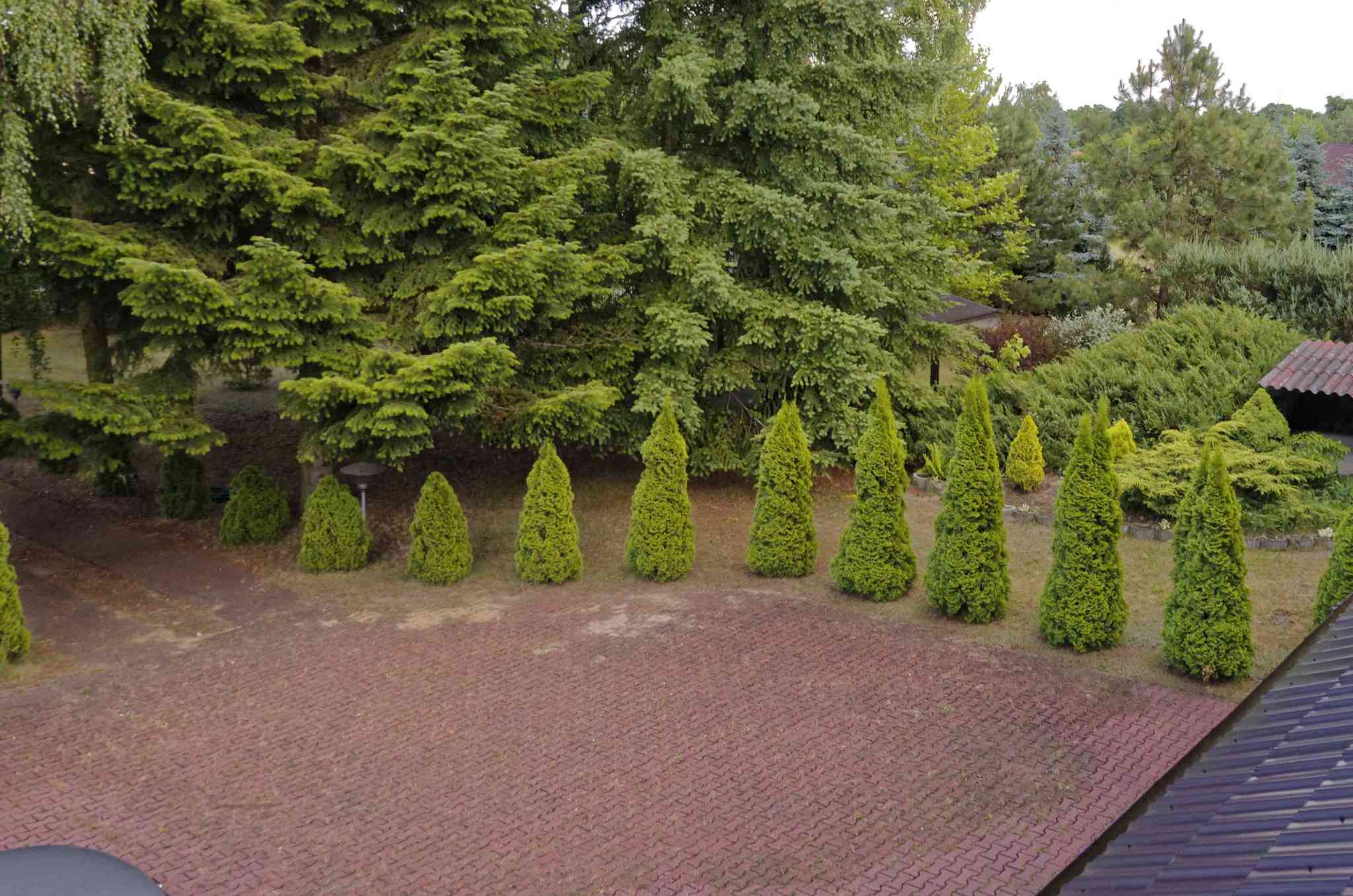 Apartment for Rental, Łódzkie Poddębicki Poddębice 86813668